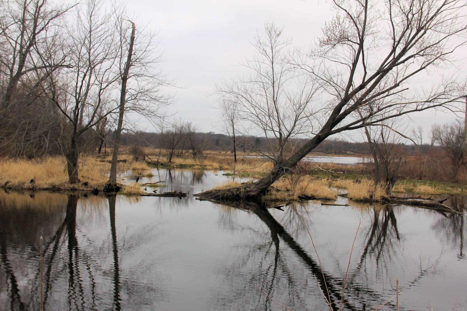 McHenry Dam State Park 